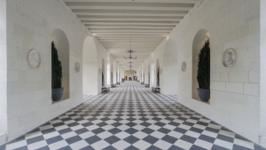 Daria VORONTSOVA - MSDNV OU